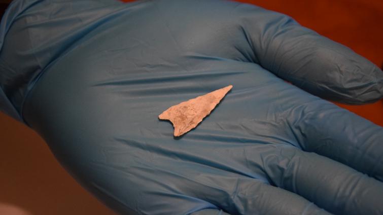 Holešovské šípy z pozdní doby bronzové zabíjely lidi, potvrdili vědci