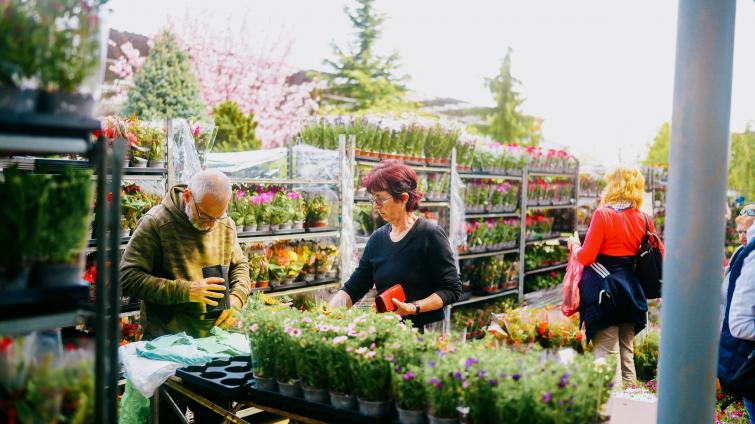 Jarní Floria potěší milovníky zahrady hned dvakrát. Velkým tahákem je Podmořský svět v květech