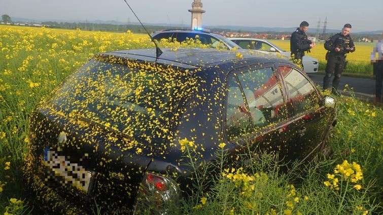 Mladík jedoucí k maturitě skončil s autem v řepkovém poli