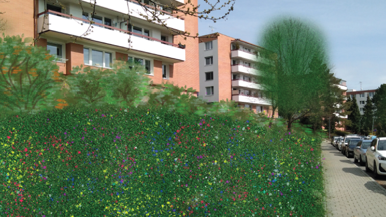 Na Jižních Svazích vznikne „zelený ostrov“. O co půjde?