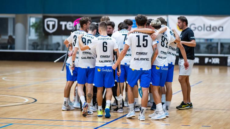 Panteři jedou na vítězné vlně. Po Ústí si smlsli i na Plzni a jsou průběžně druzí