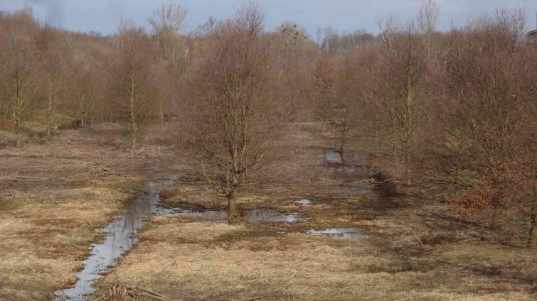 Otrokovice vyrazily do předjarního boje proti komárům. Jejich larvy hubí na Baťově