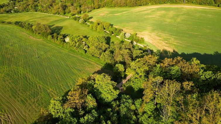 Začala výstavba očekávané cyklostezky mezi Polichnem a Újezdcem. Hotová bude na podzim