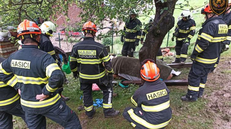 Kráva se ocitla v nesnázích, z bláta jí museli pomáhat hasiči