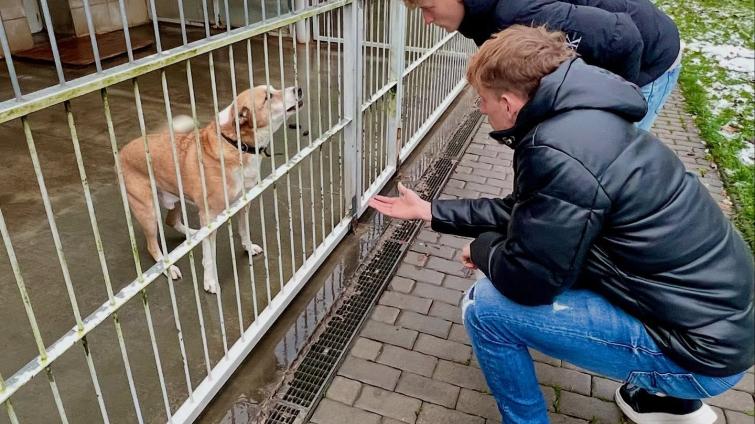 Vánoční tradice v útulku. Ševci podpořili opuštěná zvířata