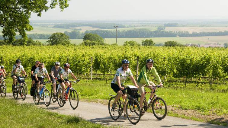Otevírání vinařských cyklostezek na Uherskohradišťsku je tady! Novinkou jsou tři historické trasy