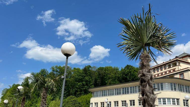 Centrum Luhačovic zdobí exotické palmy