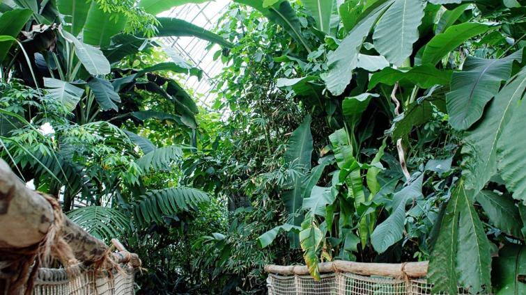 Skupinka návštěvníků krmila chvostany a tahala je za ocas. Zlínská zoo zveřejnila usvědčující video