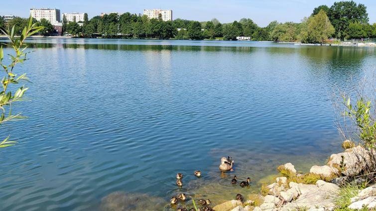 Vylepšené Štěrkoviště láká na klasiku i novinky. Otevírá už zítra