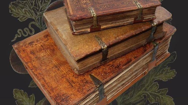 Muzeum Kroměřížska vystaví vzácný herbář, který změnil botaniku