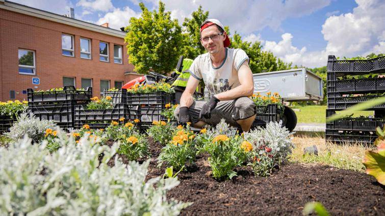 Zahradníci Baťovy nemocnice prosí návštěvníky i pacienty: Netrhejte květiny, užívejte si je