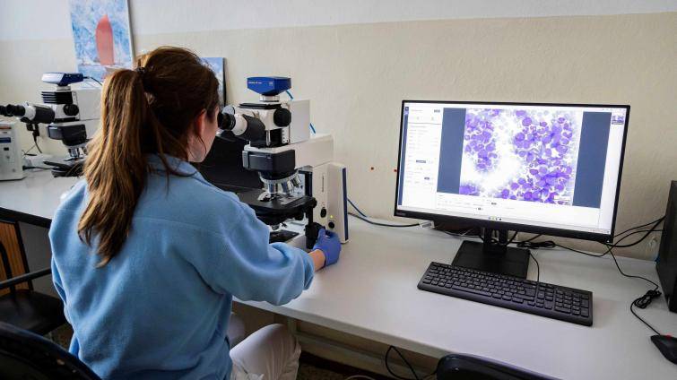 Krajská nemocnice chce výrazně posílit vědu a výzkum