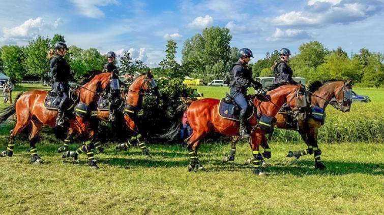 Policejní koně a další složky se předvedli na oslavách 100 let tlumačovského hřebčince