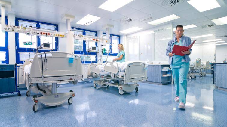 Tři pacienti s podezřením na otravu z hub ve Valašském Meziříčí. Jeden snědl muchomůrku zelenou