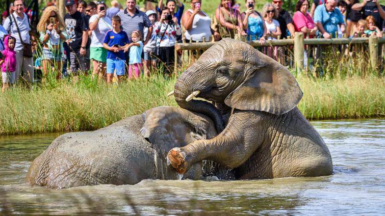 Zlínská zoo útočí na návštěvnický rekord! Každý pátek v září a říjnu bude vstupné jen za stovku