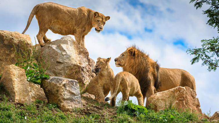 Zoo Zlín je podle recenzí návštěvníků nejlepší zoo v ČR. Překonala i Prahu