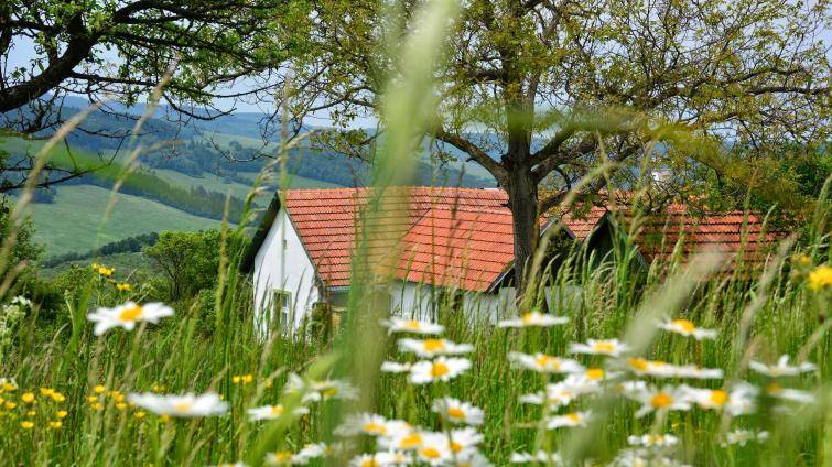 Po stopách Mornštajnové, Tučkové nebo Galušky. Literární místopis ČT zavede diváky i do našeho regionu