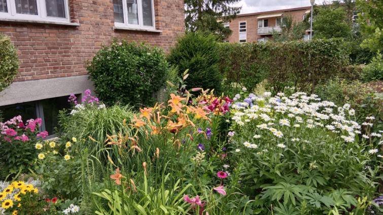 O vítězství v soutěži Rozkvetlé město letos bojovalo bezmála sto soutěžících