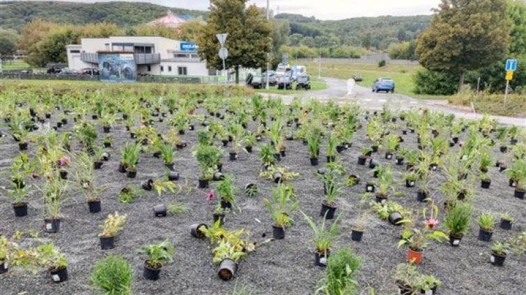 Kruhový objezd v Otrokovicích se mění na prérijní záhon