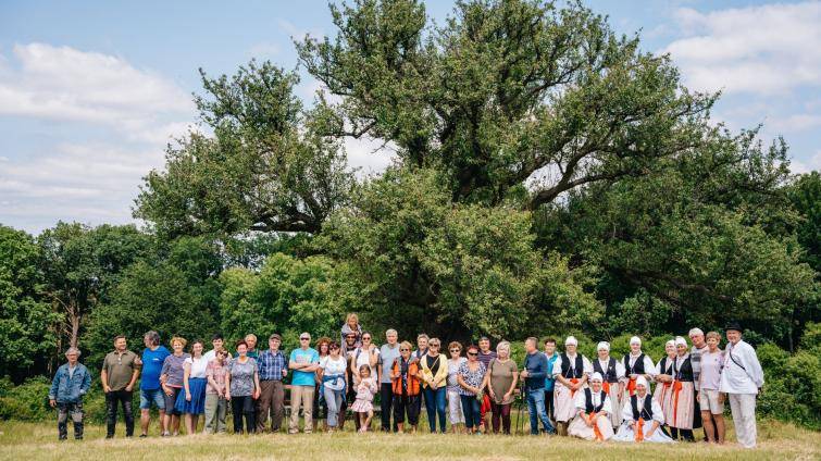 Hruška na Radovách z Uherského Hradiště je druhým nejoblíbenějším stromem v Česku