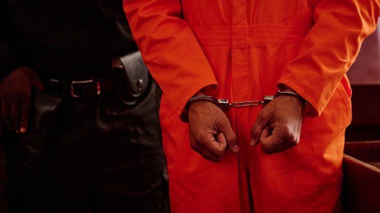 Recidivista ze Zlínska chtěl ukrást baskřídlovku i traktor. Zalekl se svědka