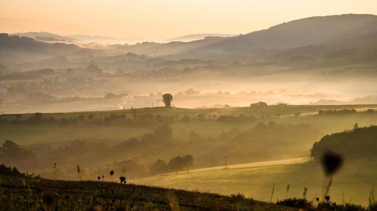 Vydejte se po naučných stezkách napříč čtyřmi regiony