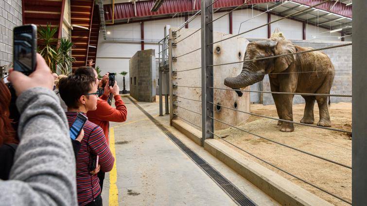 Zlínská zoo zve na speciální prohlídky chovného zařízení pro slony