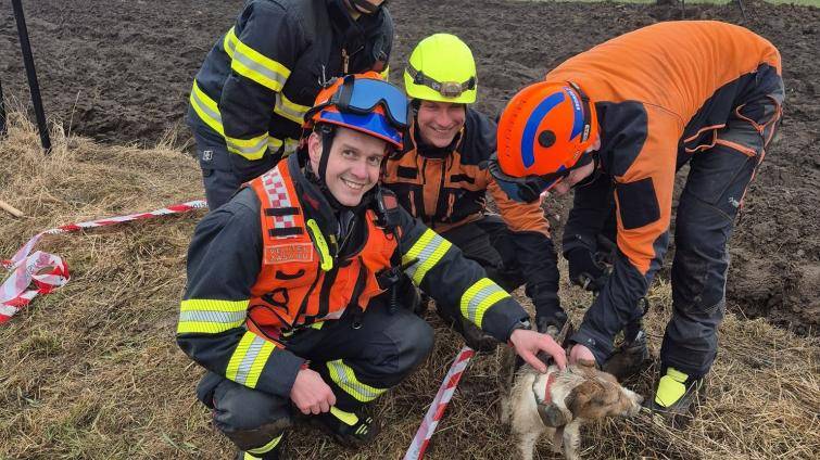 Šťastný konec záchrany chlupatého dobrodruha: Hasiči v Kroměříži vyprostili psa z betonové roury