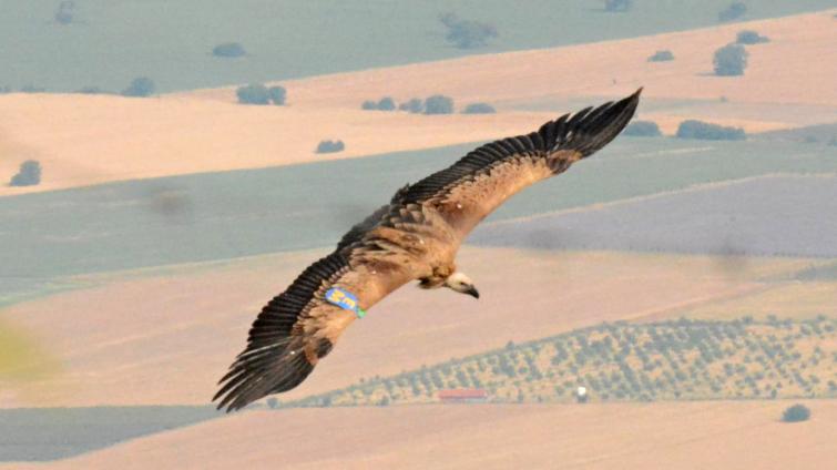 Foto: Gradimir Yovchev