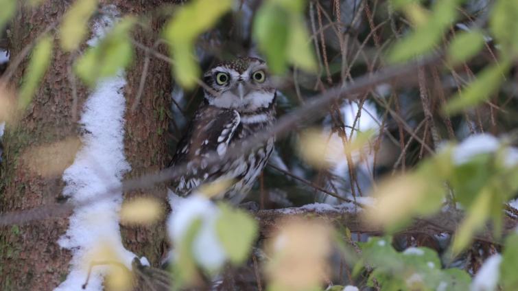 Foto: archiv Zoo Zlín