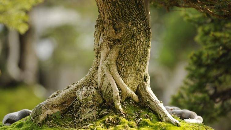 Foto: Slovácké muzeum