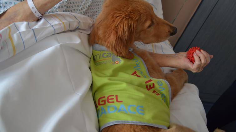 Foto: Nemocnice AGEL Valašské Meziříčí