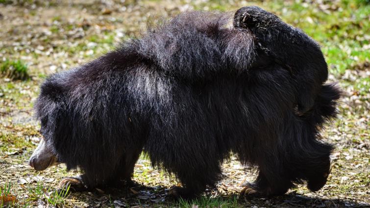 Foto: Archiv Zoo Zlín