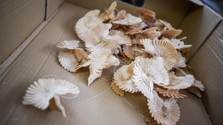 Vyřezávané holubičky Petra Stoklasy. Foto: Kateřina Nosková