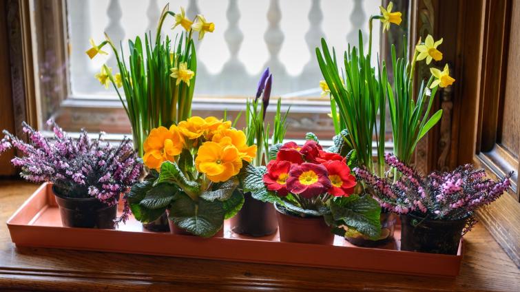  Foto: archiv Zoo Zlín