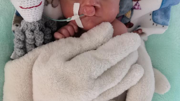 ​​​​​​​Foto: KNTB