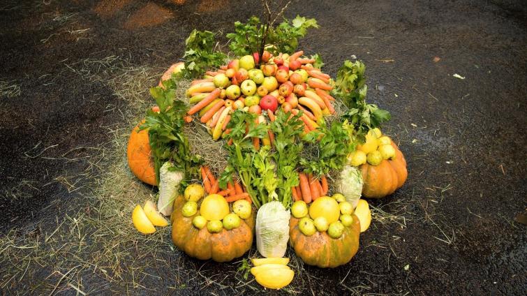 Afričák slaví půl roku! Při této příležitosti dostal krásné nové jméno