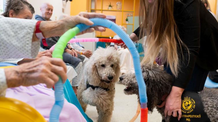 Foto: Kroměřížská nemocnice a.s.