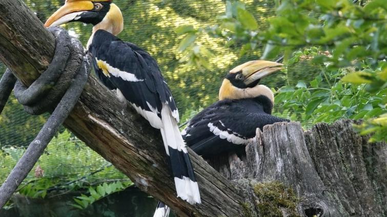 Foto: Archiv Zoo Zlín