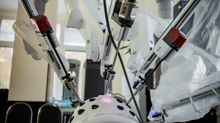 ​​​​​​​Foto: KNTB