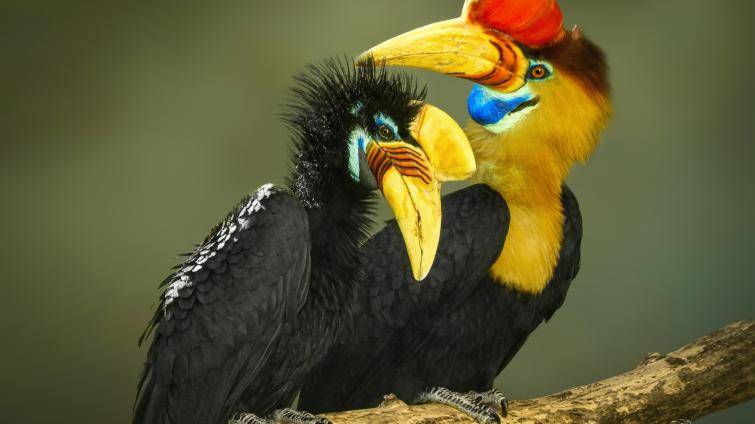 Rodičovský pár. Foto: Ewa Kožik