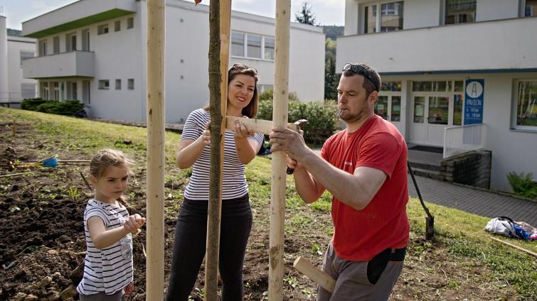 Luhačovice budou zase o něco zelenější