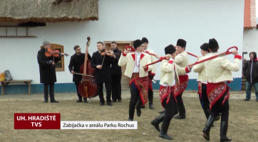 Zabijačka v Parku Rochus