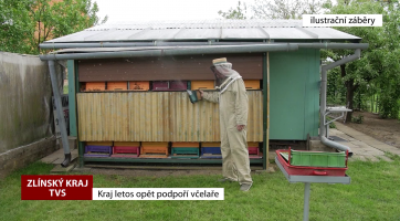 Zlínský kraj letos opět podpoří včelaře