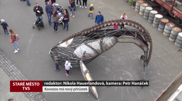 Kovozoo má nový přírůstek