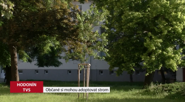 Občané Hodonína si mohou adoptovat strom