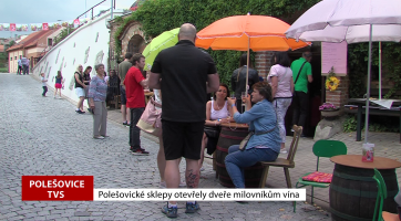 Polešovické sklepy otevřely dveře milovníkům vína