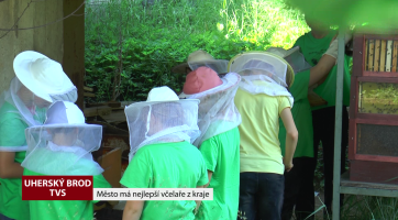 Město má nejlepší včelaře z kraje