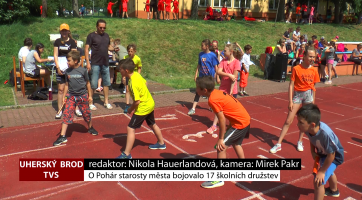O Pohár starosty města bojovalo 17 školních družstev