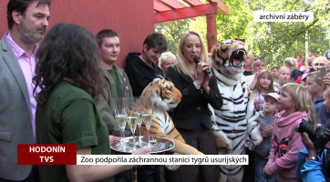 Zoo podpořila záchrannou stanici tygrů usurijských